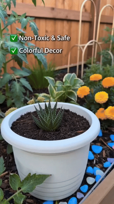 💥LAST DAY SALE 50%OFF💥🌈Colorful Glow-in-the-Dark Garden Stones